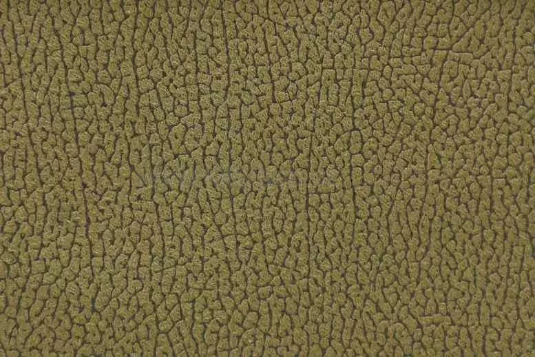 PRIMA 10 OLIVE