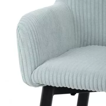 Barov� �idle AUB-V4009