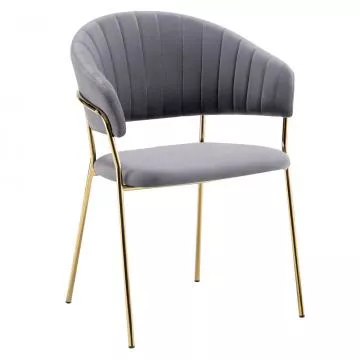 j�deln� k�eslo DASMIN TYP 1- �edohn�d�