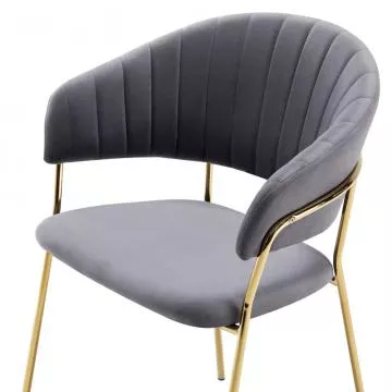 j�deln� k�eslo DASMIN TYP 1- �edohn�d�