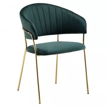 j�deln� k�eslo DASMIN TYP 1- zelen�