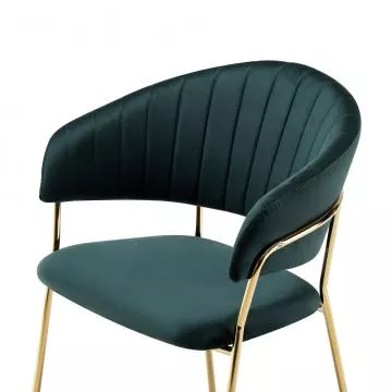 j�deln� k�eslo DASMIN TYP 1- zelen�