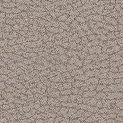 HERA taupe 3101