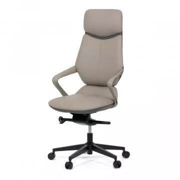 Modern kancelsk keslo Ka-t8426 - Grey