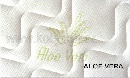 Aloe Vera silver
