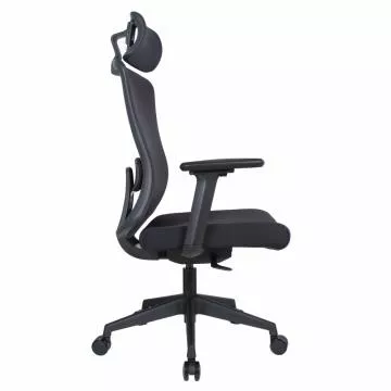 Kancel��sk� k�eslo Rosano - �ern�