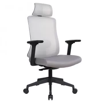 Kancel��sk� k�eslo Rosano - �ed�