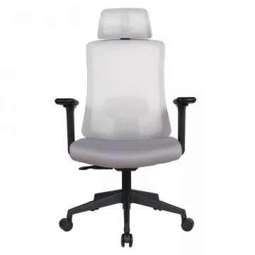 Kancel��sk� k�eslo Rosano - �ed�