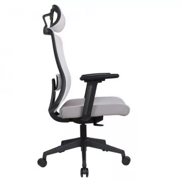 Kancel��sk� k�eslo Rosano - �ed�