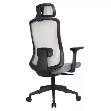 Kancel��sk� k�eslo Rosano - �ern�