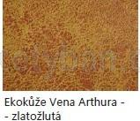 Eko ke Vena Arthura zlatulut