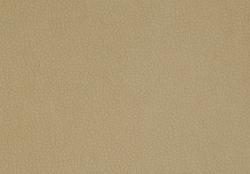 Carabu beige 66