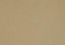 Carabu beige 66