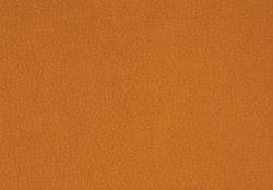 Carabu arancio 94