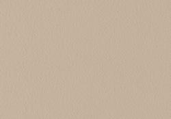 Reginarca beige 401