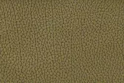PRIMA 10 OLIVE