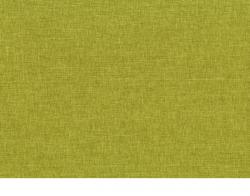 Alcone 22 lime
