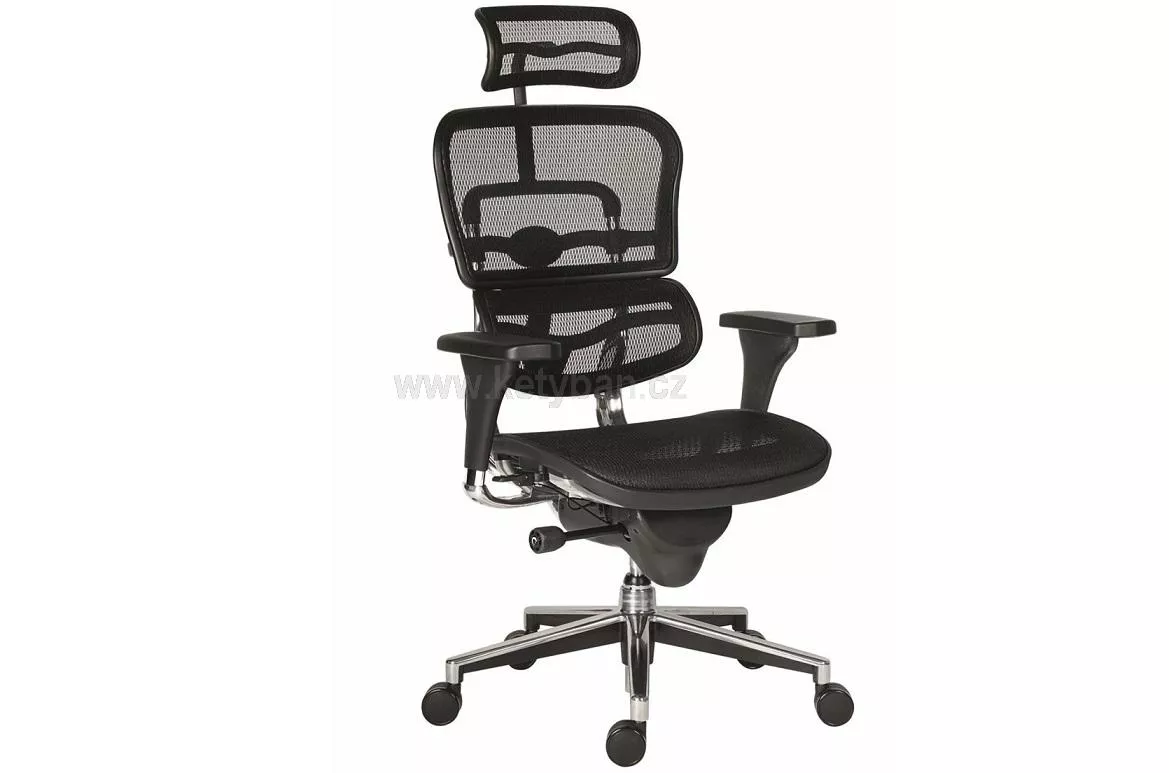 Luxusní kancelářská židle Ergohuman