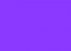 Purple 409