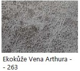 Eko ke Vena Arthura 263