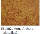 Eko ke Vena Arthura zlatulut